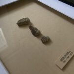 A deep framed set of 3 small chunks of concrete arranged one above the other. There is a caption that reads BERLIN WALL with several dates