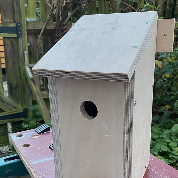 A plywood bird box sitting on a Black and Decker Workmate in a leafy garden
